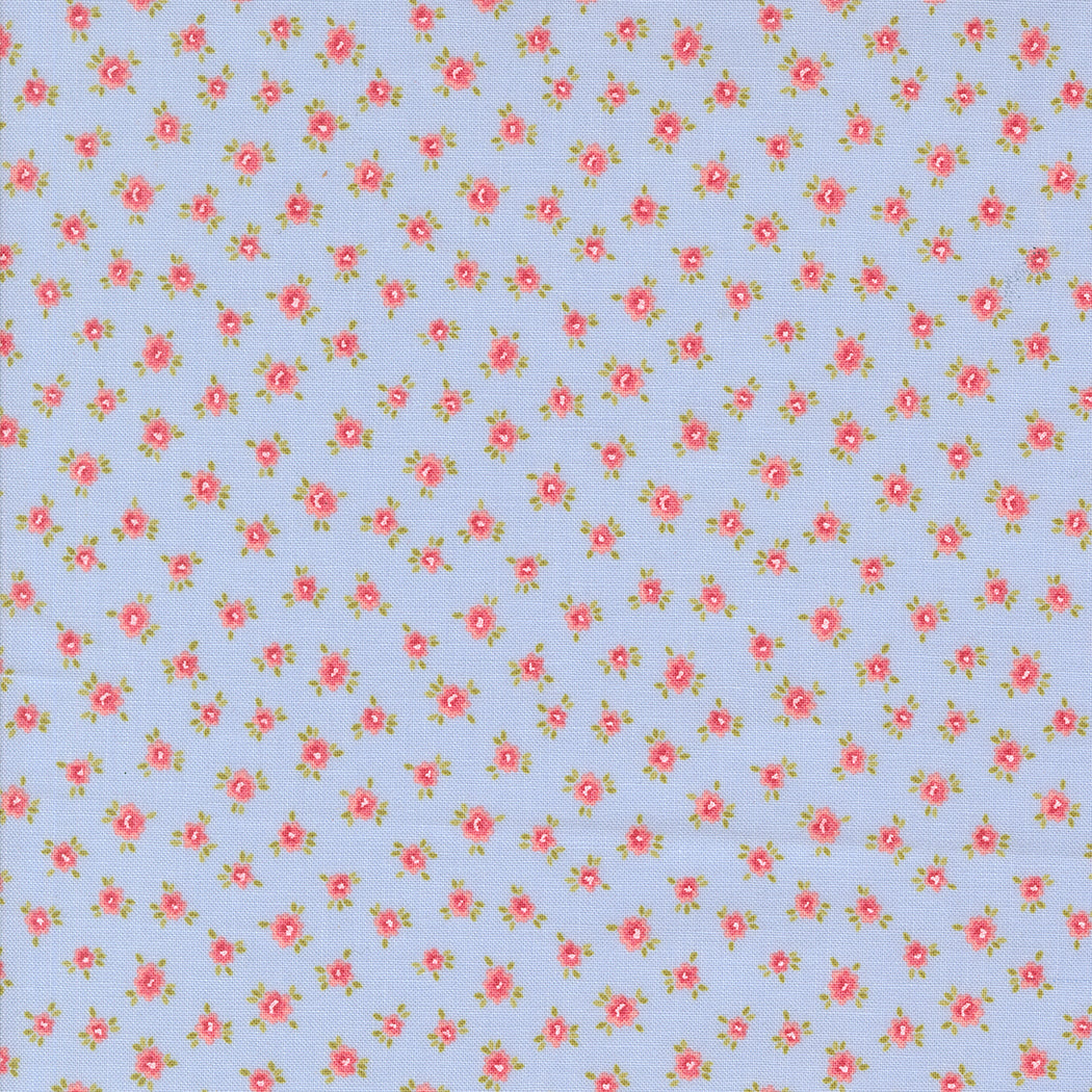 Small Posies - Sky