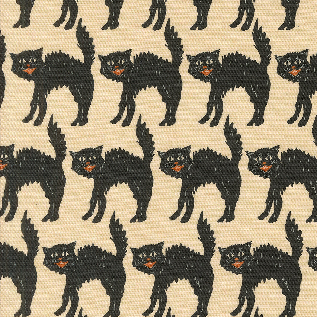 Scaredy Cat