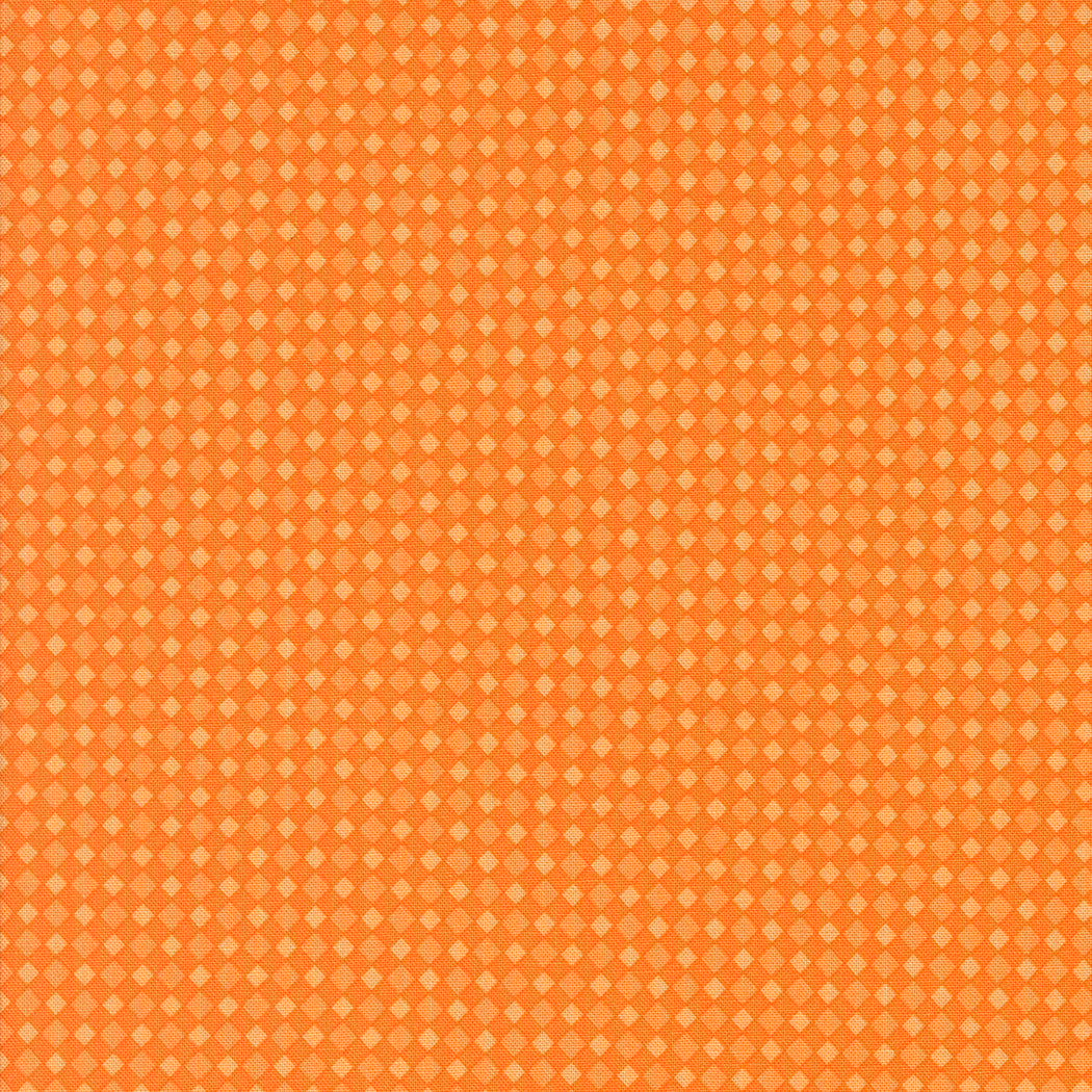 Little Check - Orange