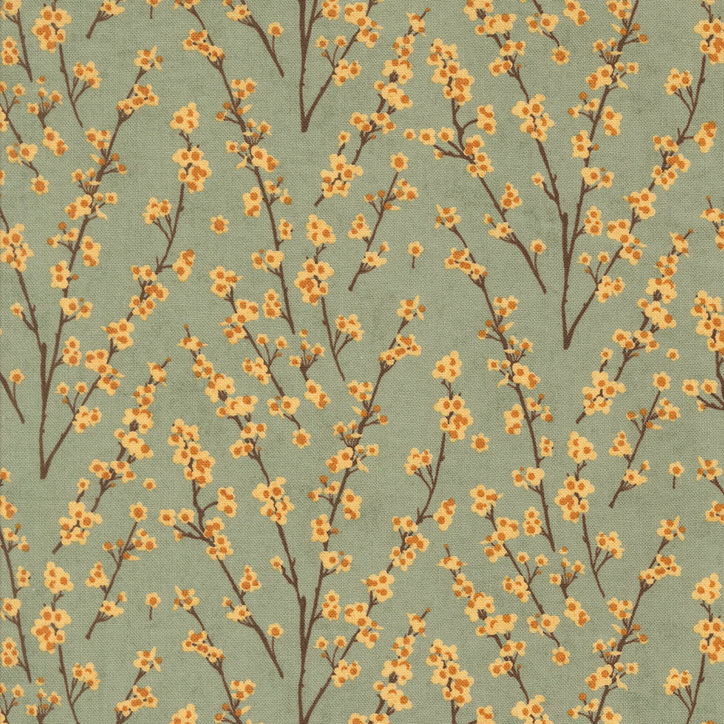 Yellow Blossom
