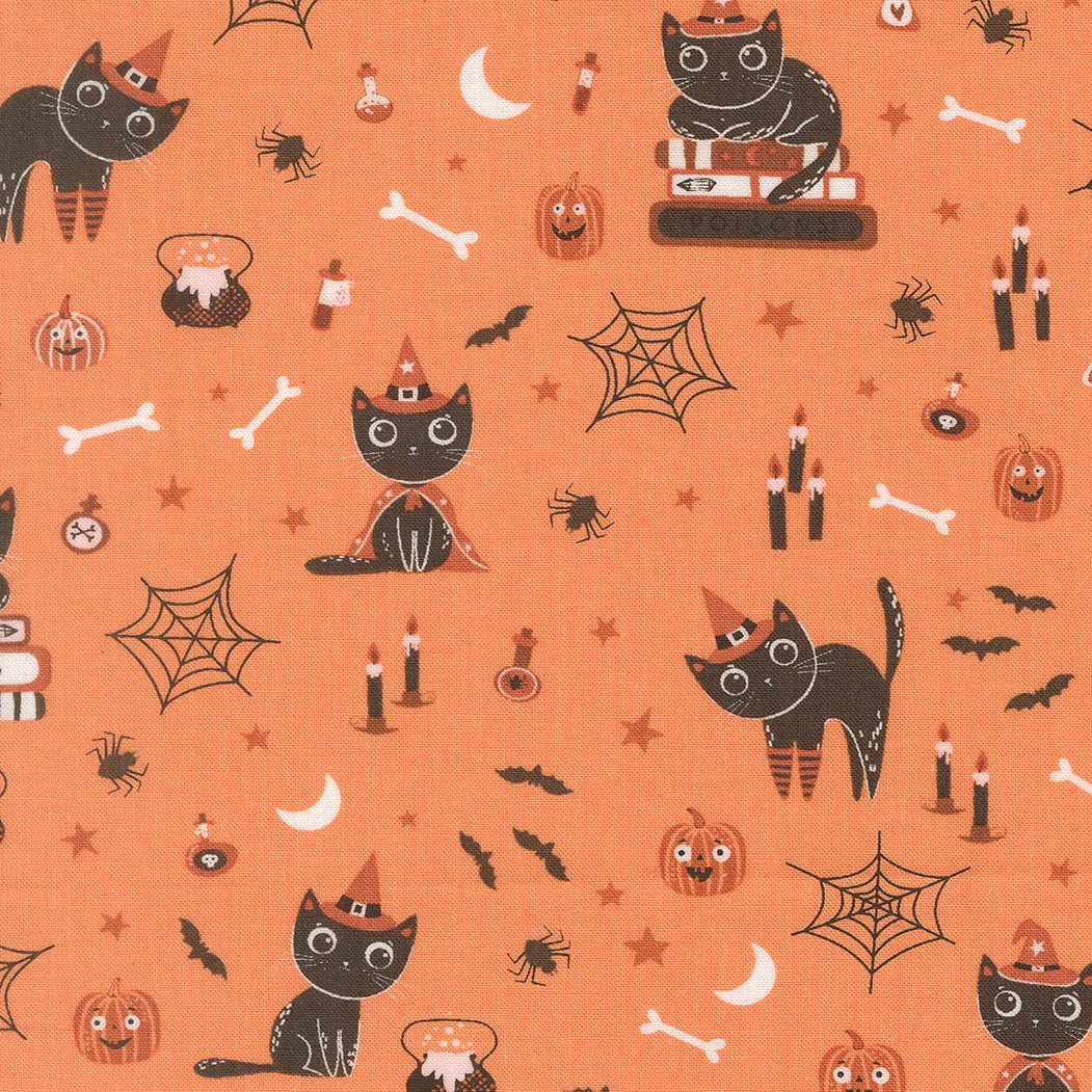 Cats - Pumpkin