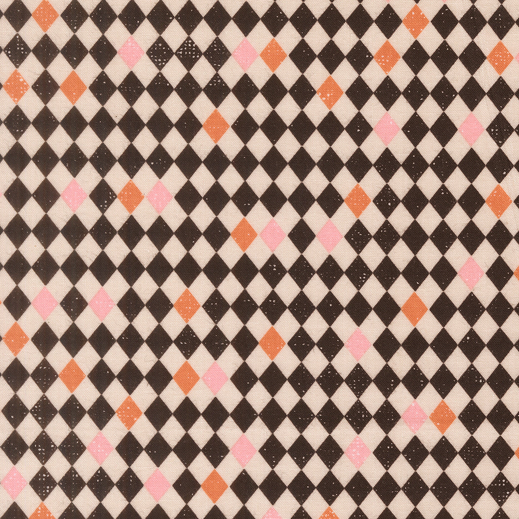 Harlequin - Black Cat