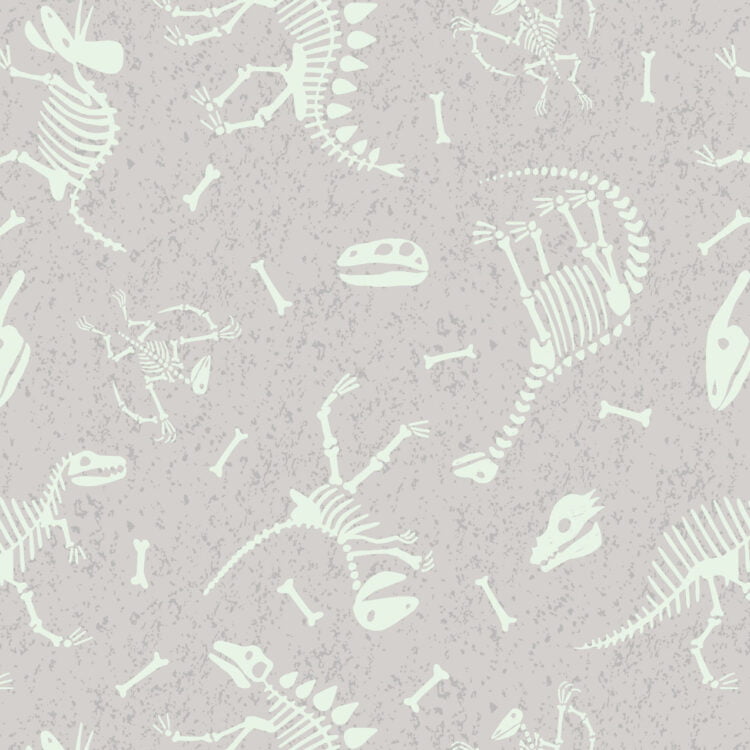Glow in the Dark Dino Skeletons - Light Grey