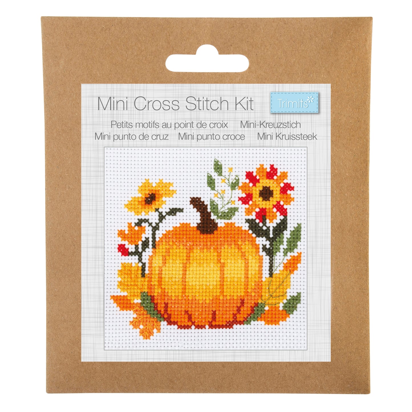 Mini Counted Cross Stitch Kit: Pumpkin