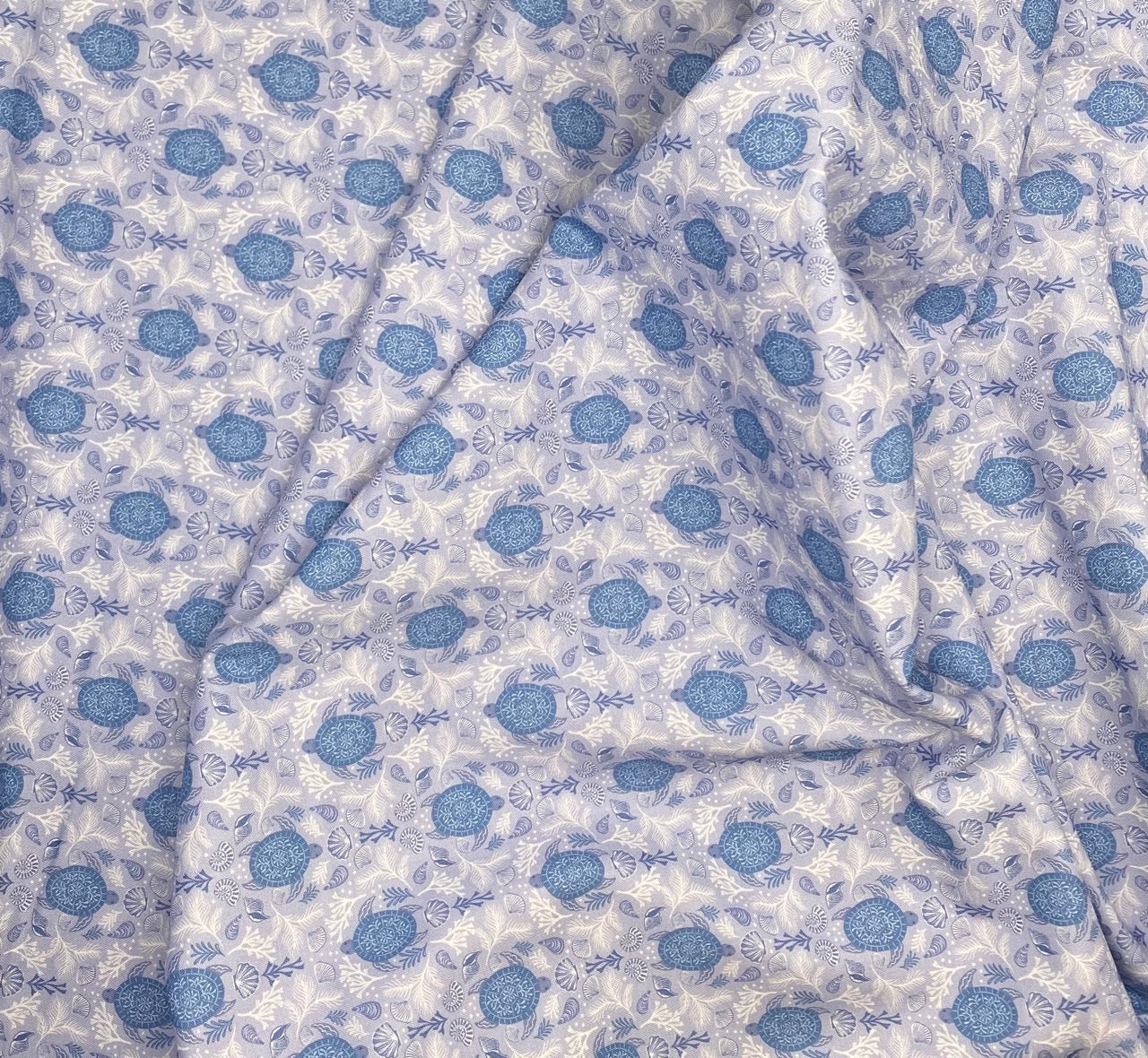 Mirrored turtle blue