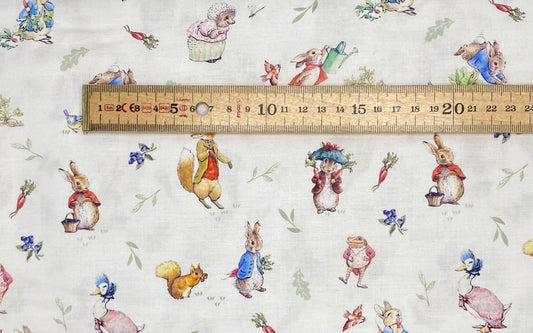 Peter Rabbit Character's