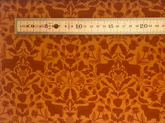 Highlands on highland orange