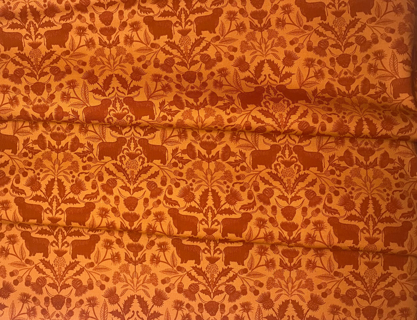 Highlands on highland orange