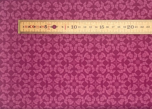 Thistle on highland purple