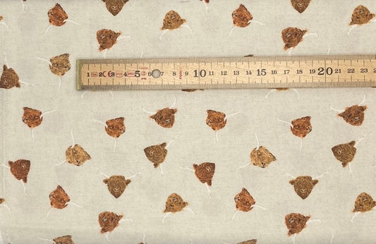 Highlands cows on light cream