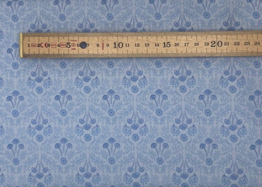 Woodland mushrooms on pale blue