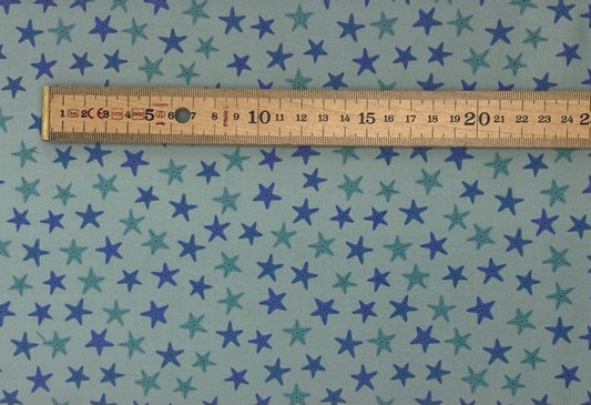 Aqua starfish on sea green