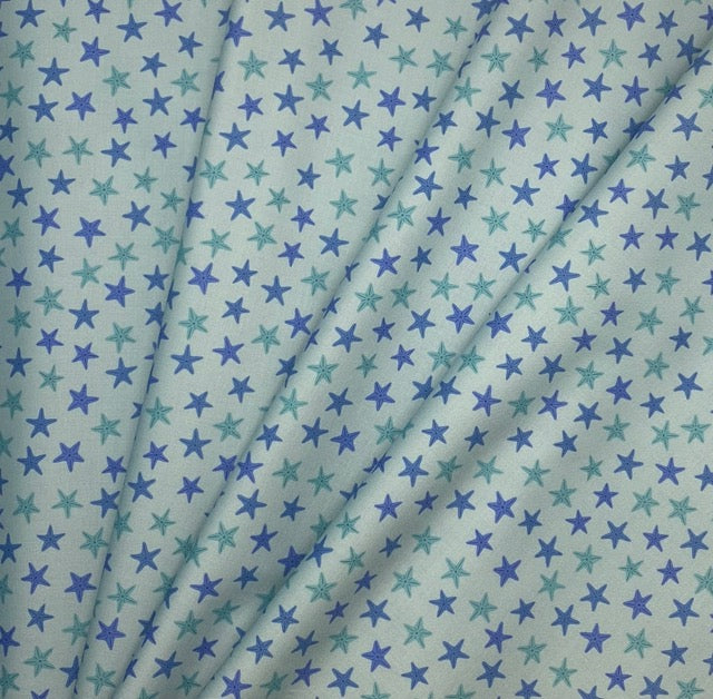 Aqua starfish on sea green