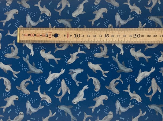 Seal bubbles on dark blue