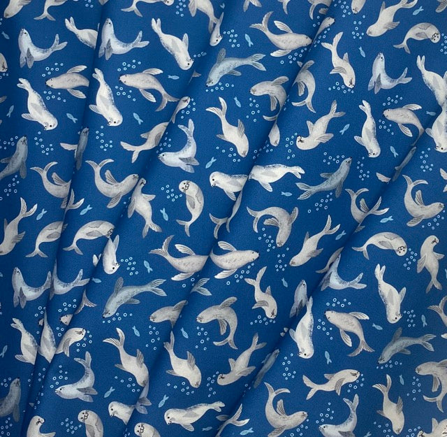 Seal bubbles on dark blue