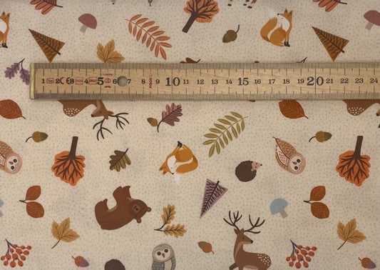 Nature trail creatures on warm cream