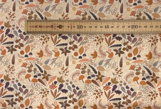 Nature treasures on warm cream