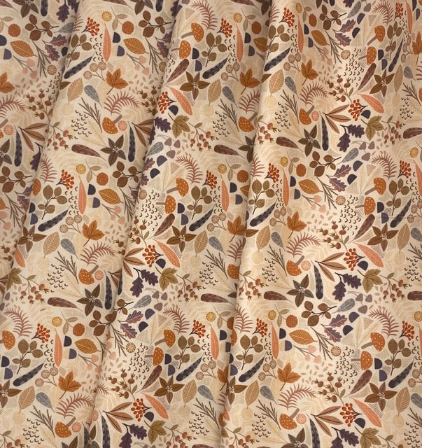 Nature treasures on warm cream