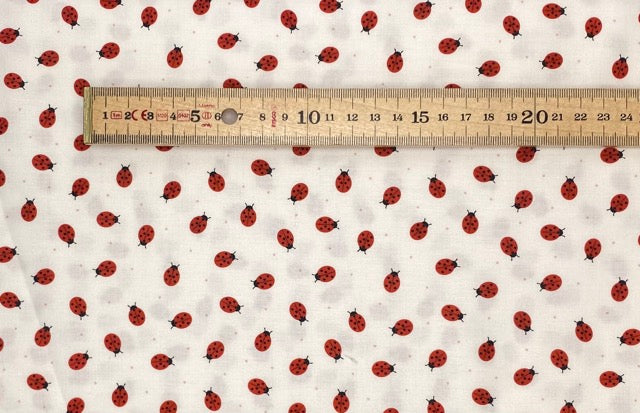 Small things ladybirds