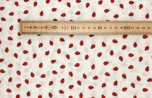 Small things ladybirds