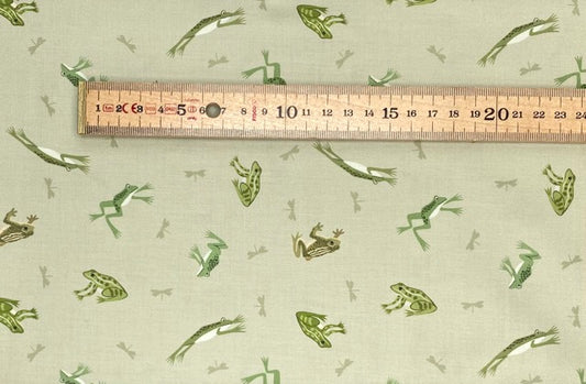 Frogs and toads on light green