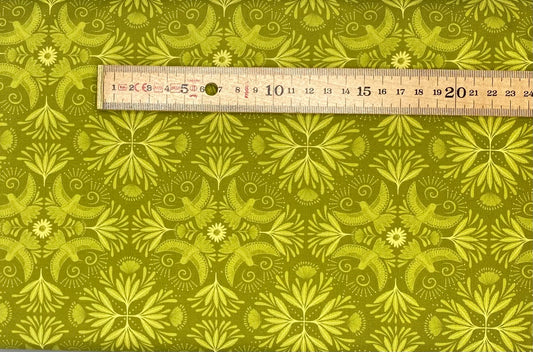 Jungle green bahian hummingbird