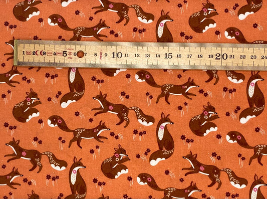 Wild Folk – Adorable Foxes