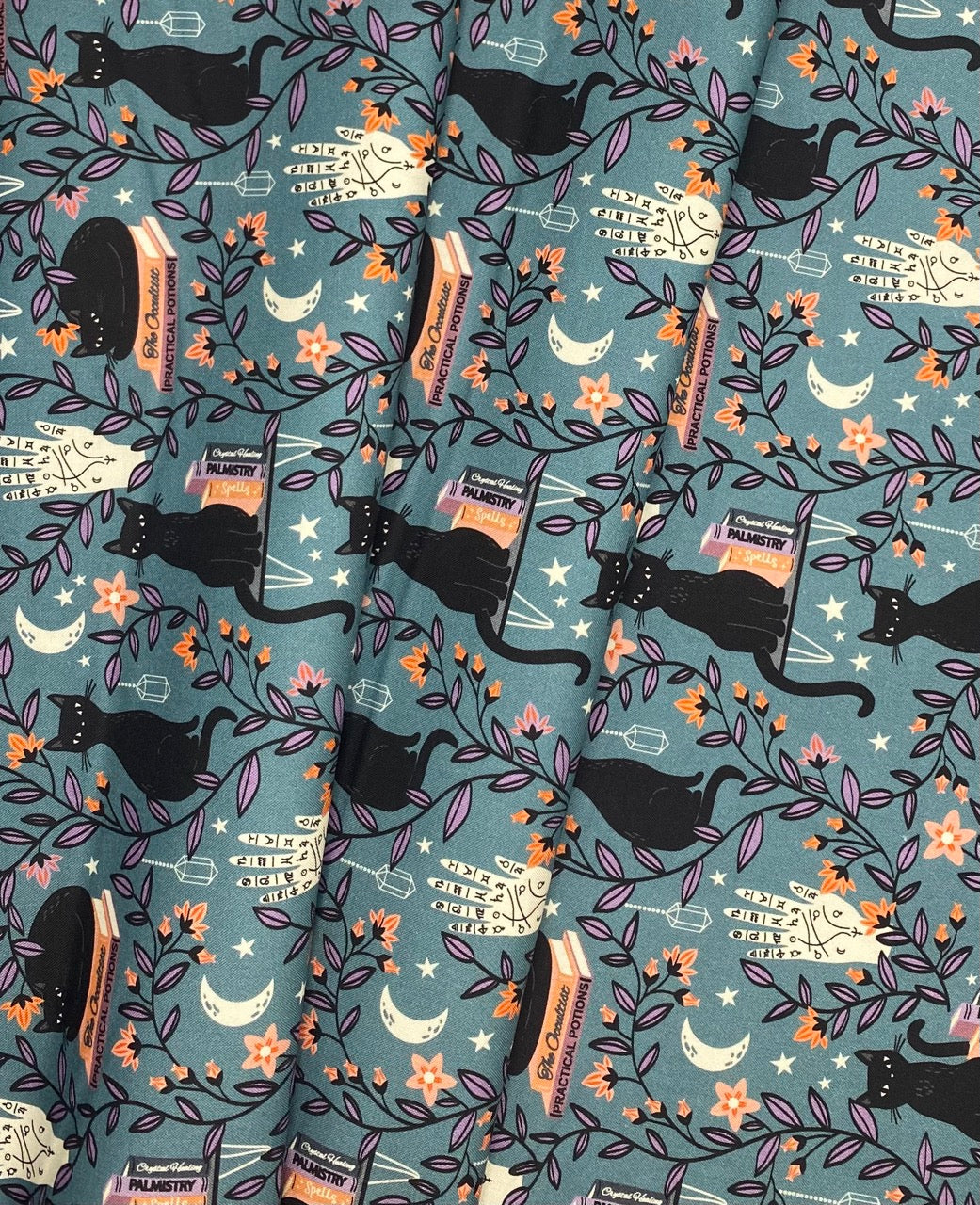 Spellbound - Black Cat