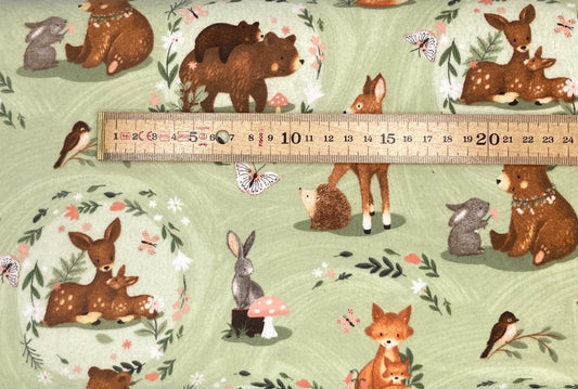 Baby in Bloom - Picture Perfect - Flannel