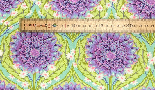 Untamed - Daisy and Confused