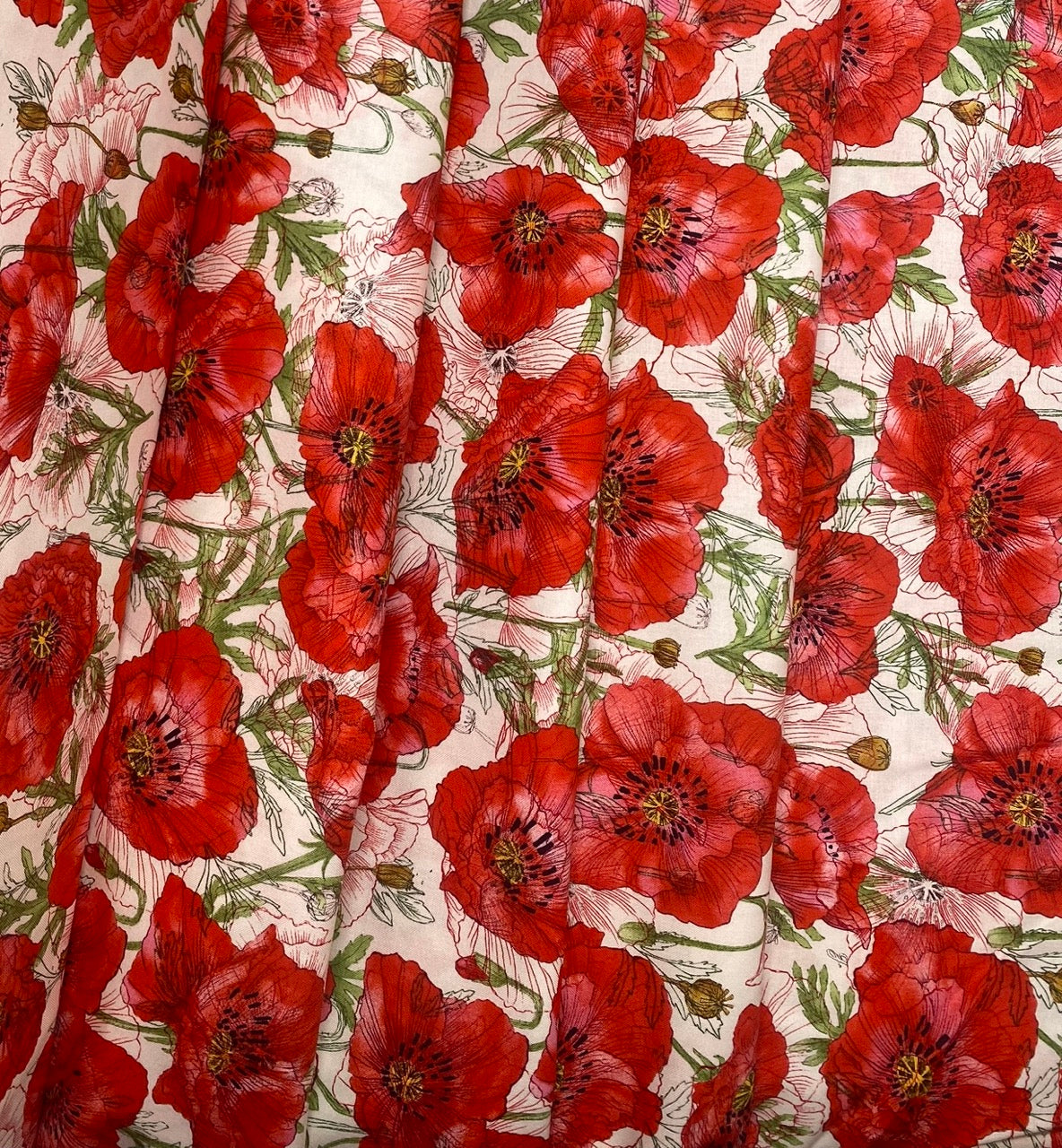 Poppies