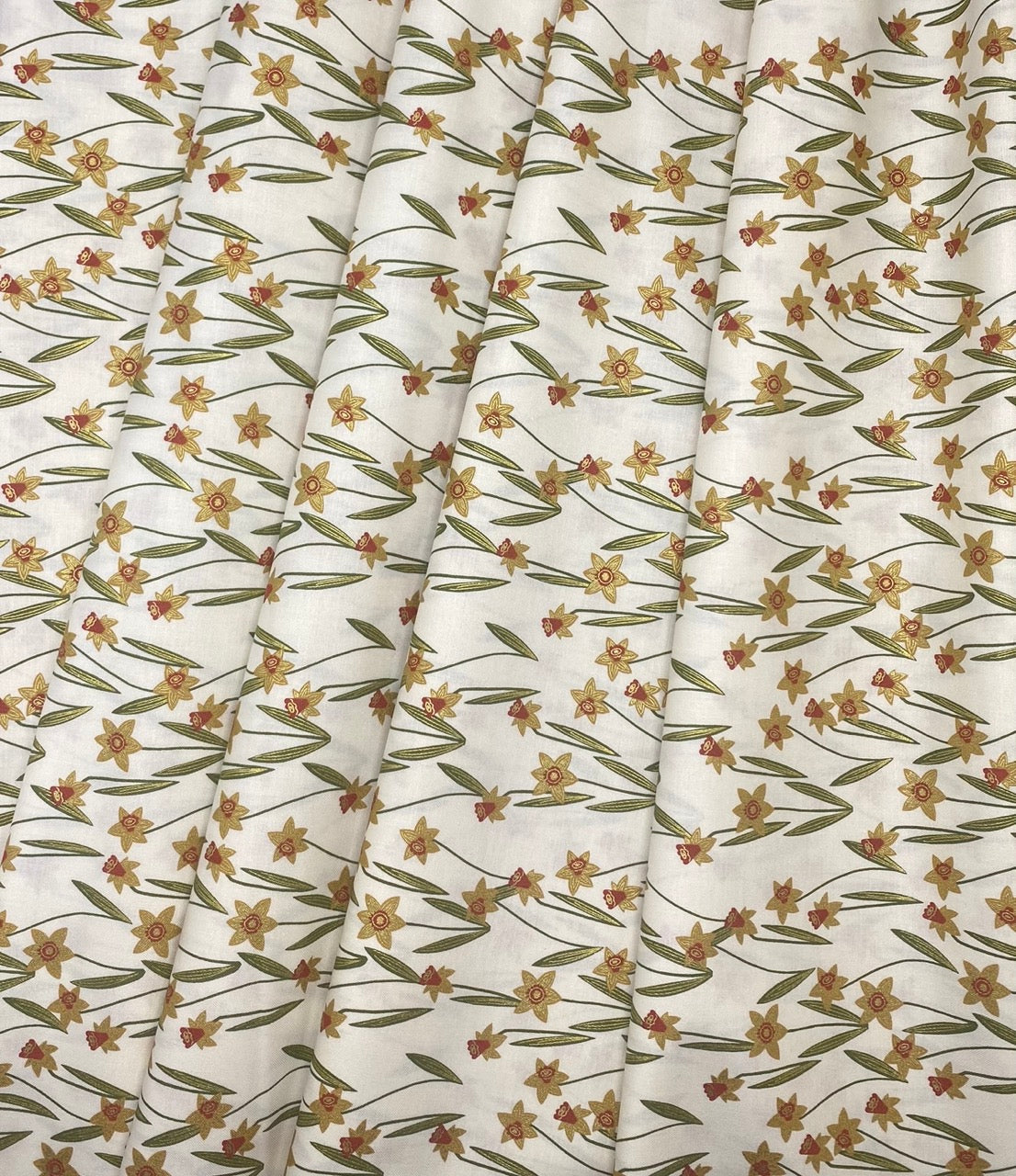 Daffodil - Cream