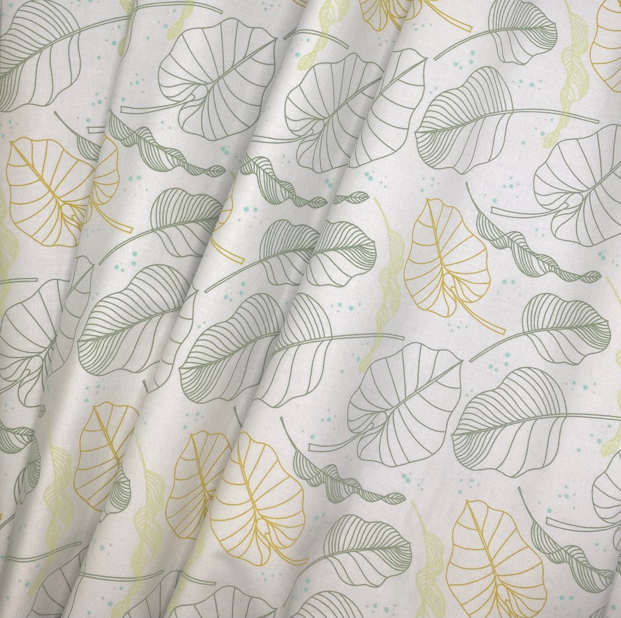 Outlined Leaf