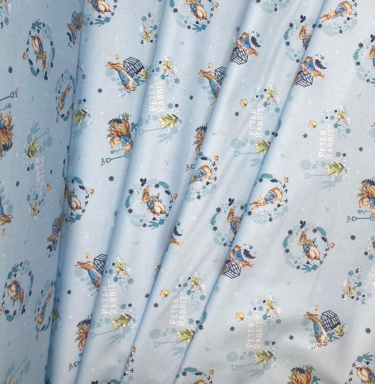 Greenhouse - Peter Rabbit