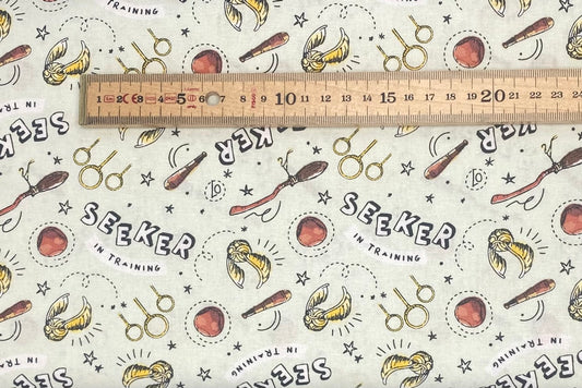 Seeker in Training - Harry Potter