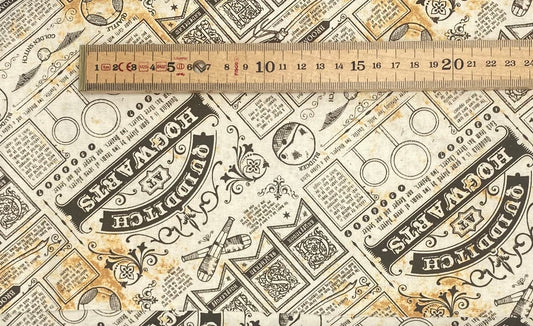 Quidditch - Harry Potter