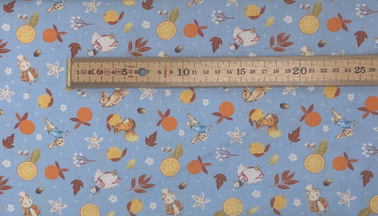 Peter Rabbit - Acorn Acres