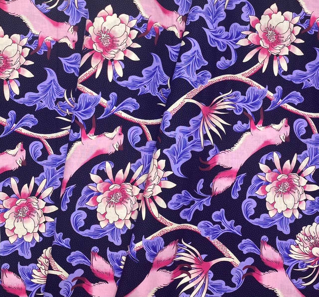 Fox Bloom