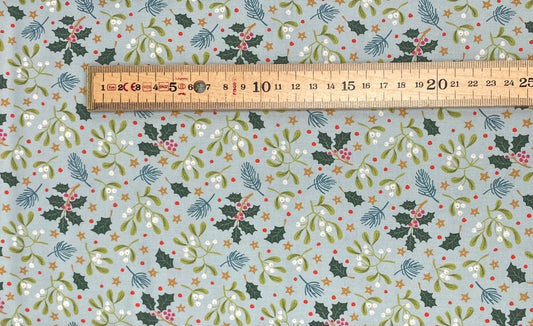 Mistletoe on Duck Egg