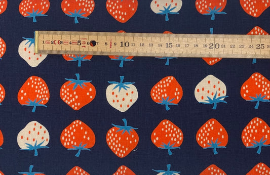 Strawberry Canvas - Navy