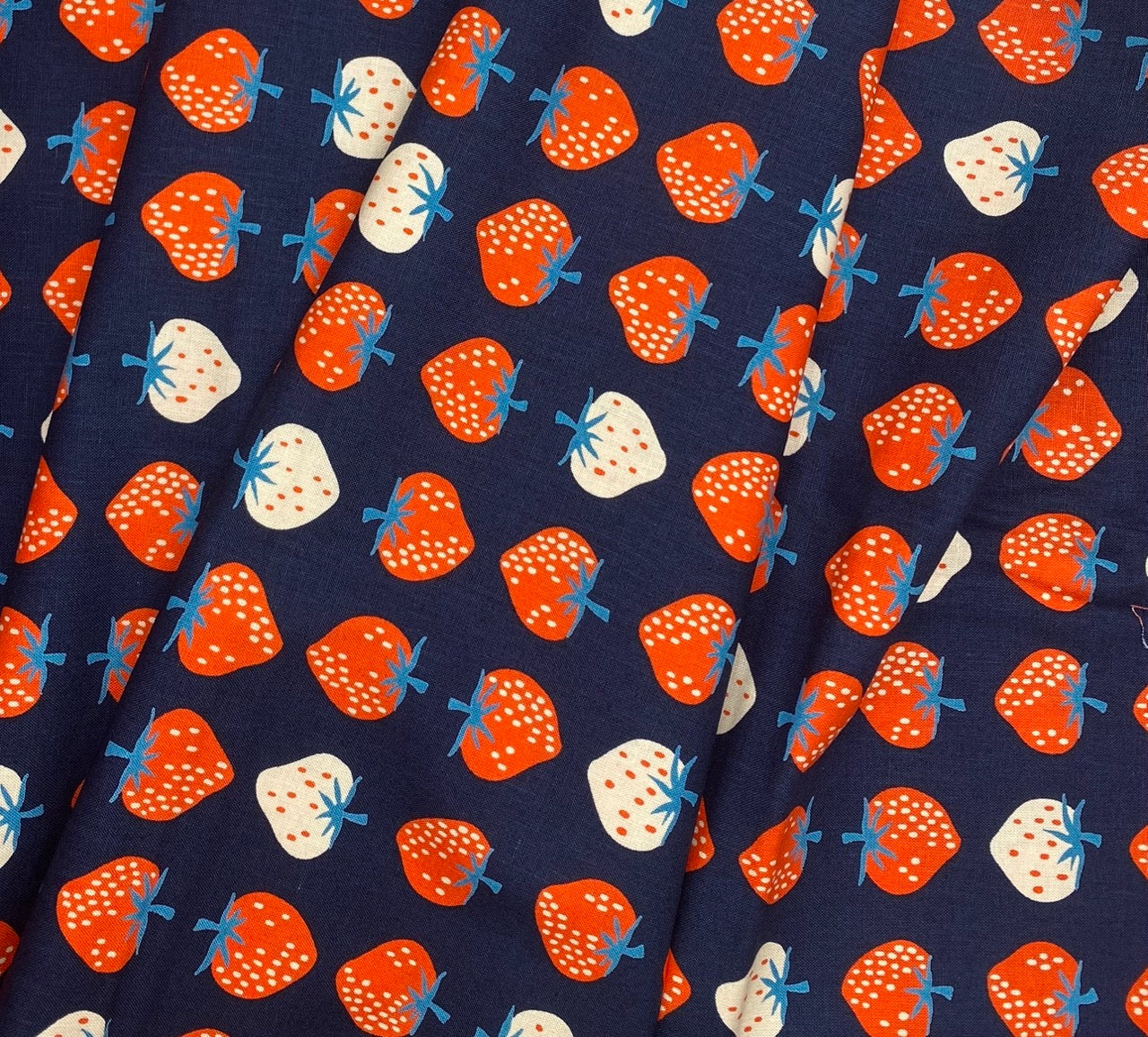 Strawberry Canvas - Navy