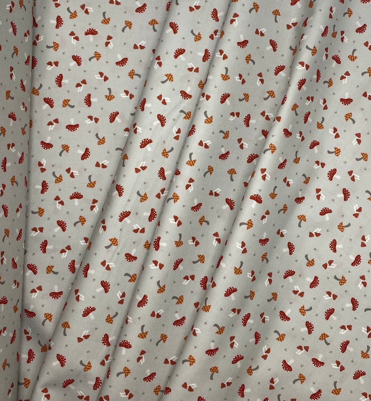 Toadstools on grey