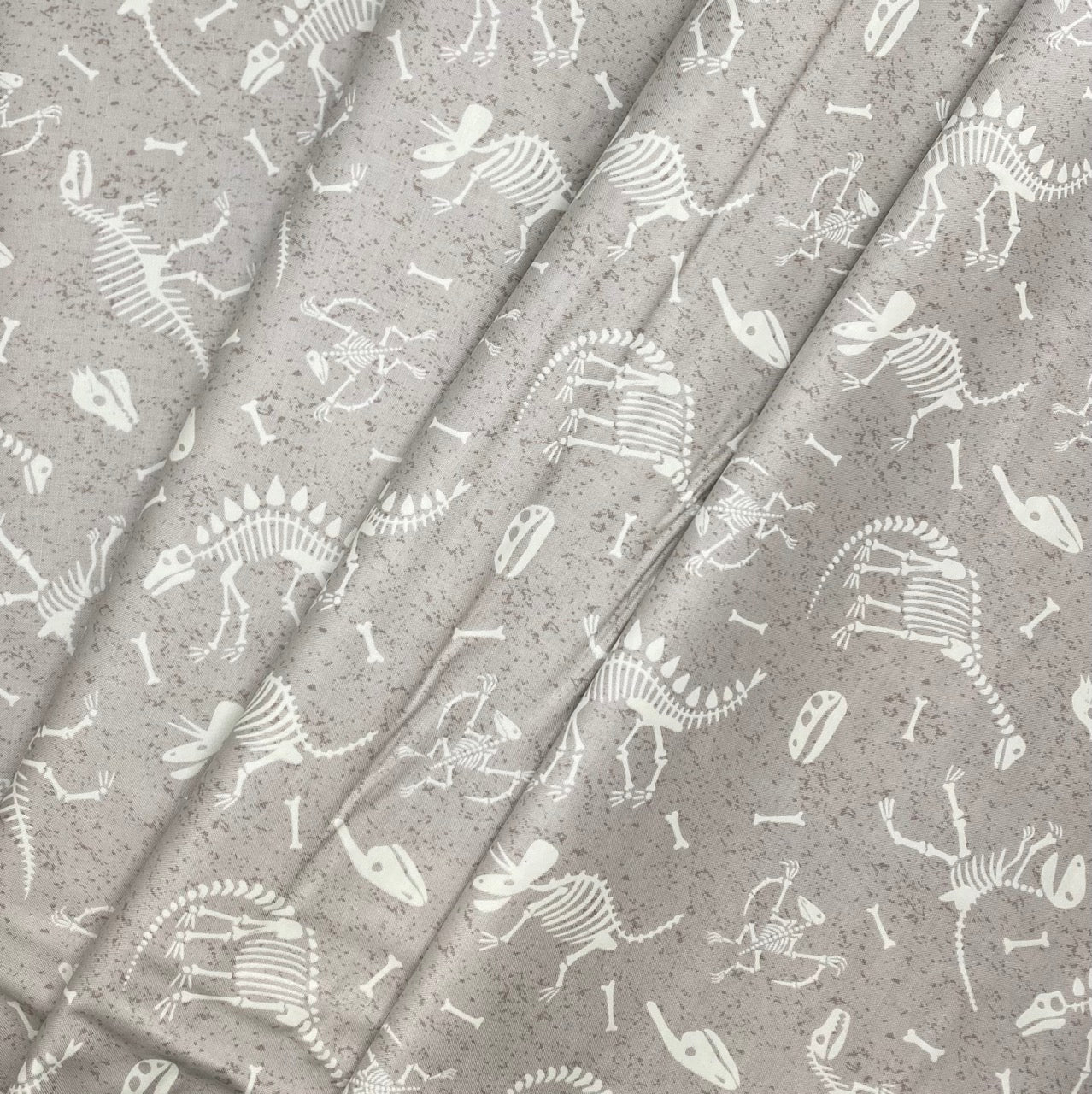 Glow in the Dark Dino Skeletons - Light Grey