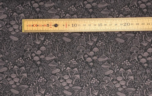 Fantastic fungi on midnight