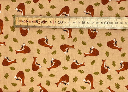 Fox on light terracotta