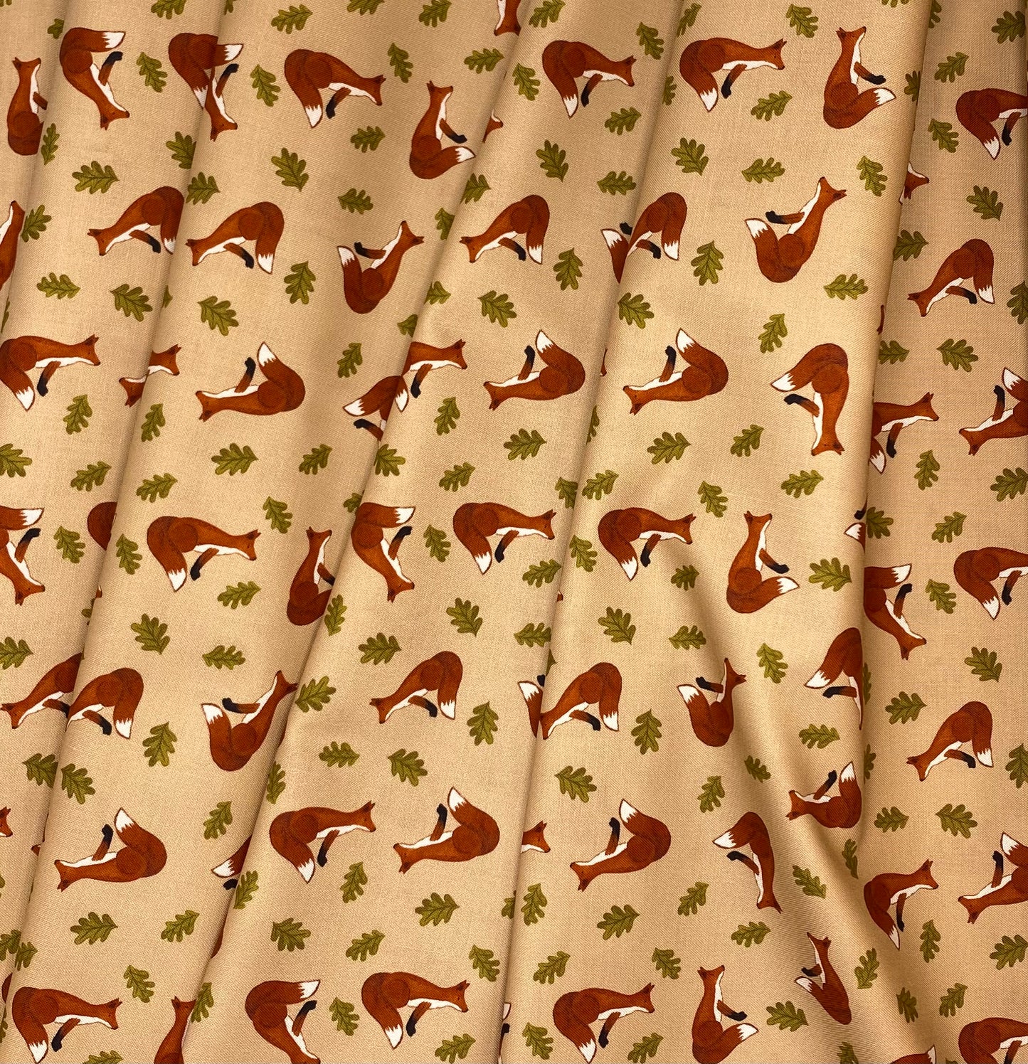 Fox on light terracotta