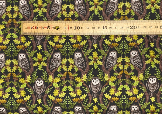 Wise owls on dark oak