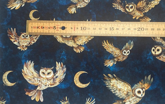 Owls in Navy