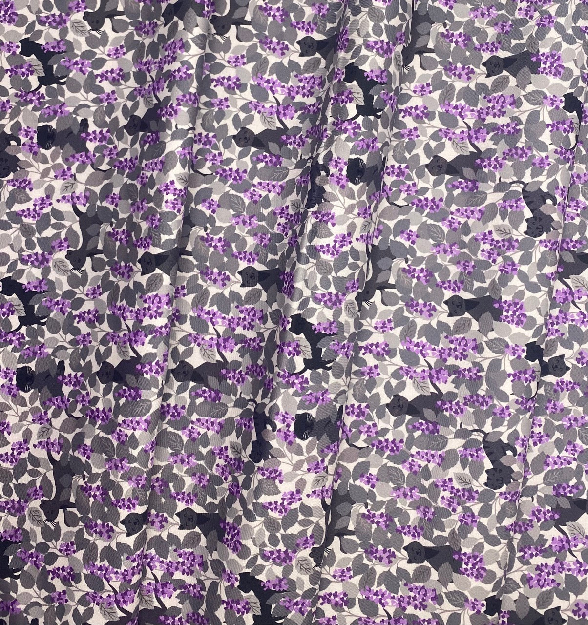 Catnip grey and purples