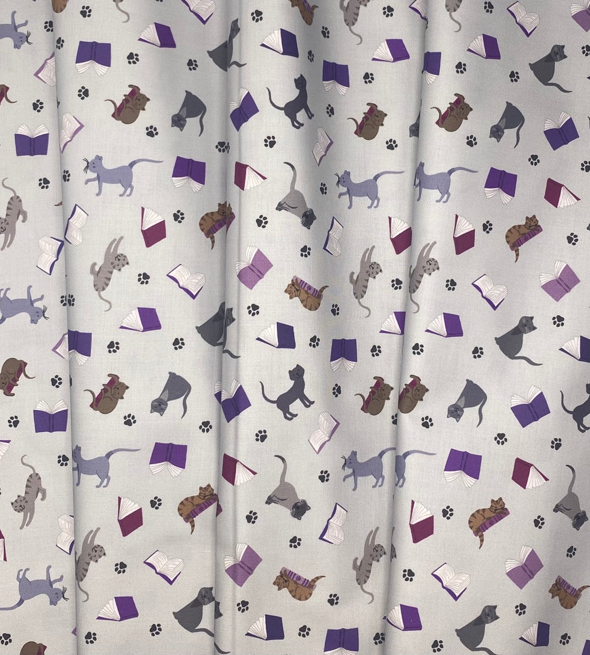 Scattered cats and books on grey